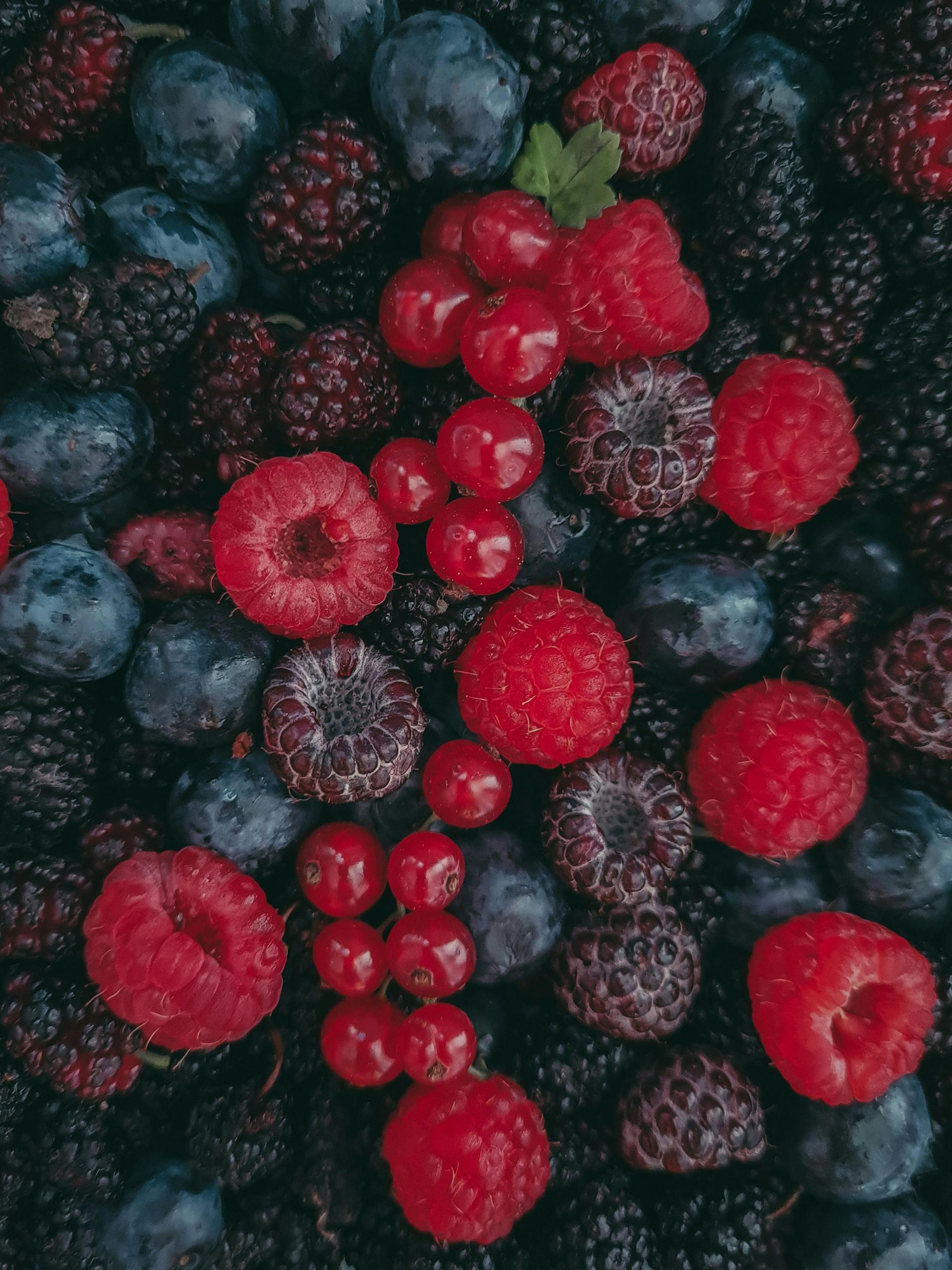 Beeren
